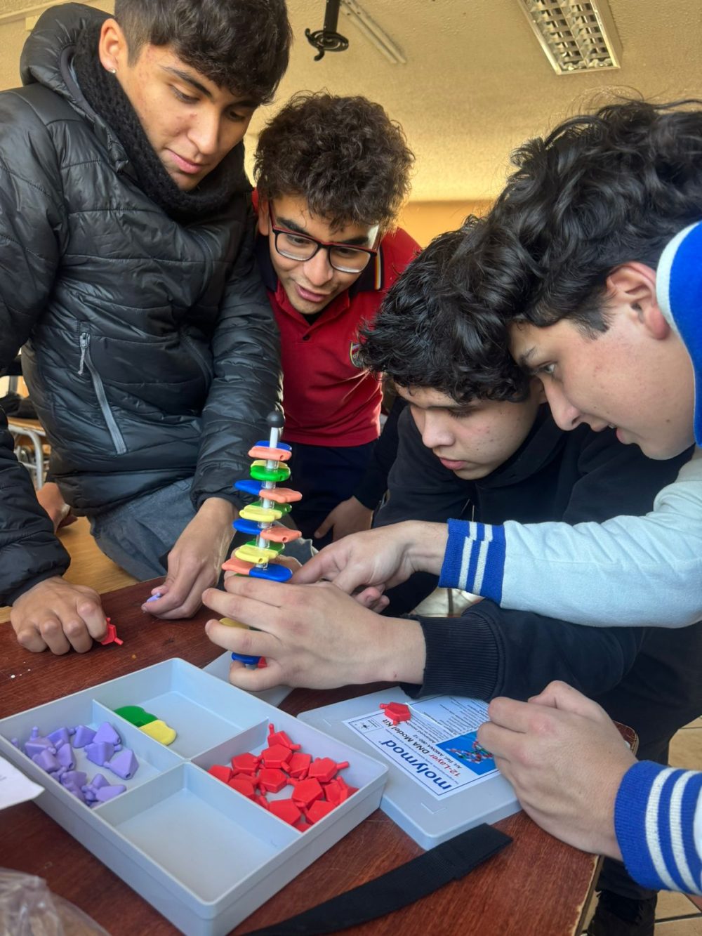 ESTUDIANTES DEL ELECTIVO CIENCIAS DE LA SALUD REALIZAN MODELO DEL ADN.